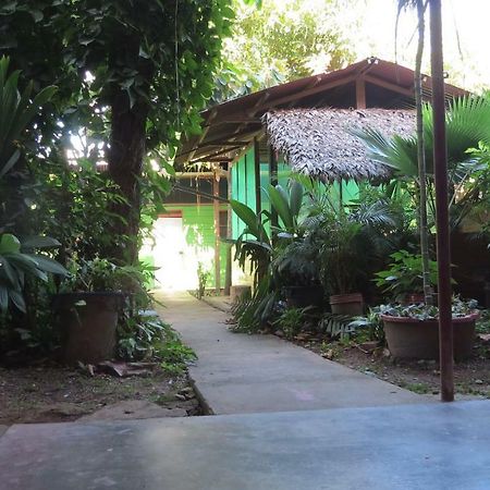 Tambopata Hostel Bambu بويرتو مالدونادو المظهر الخارجي الصورة