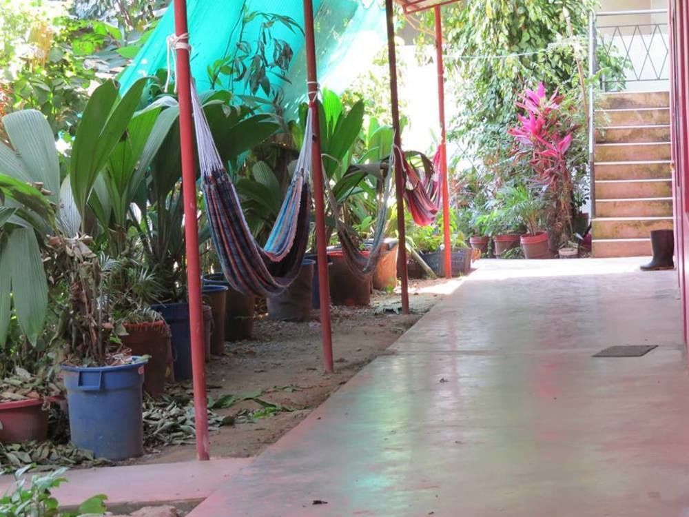 Tambopata Hostel Bambu بويرتو مالدونادو المظهر الخارجي الصورة