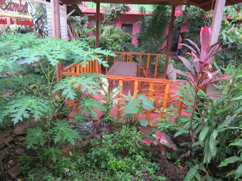 Tambopata Hostel Bambu بويرتو مالدونادو المظهر الخارجي الصورة