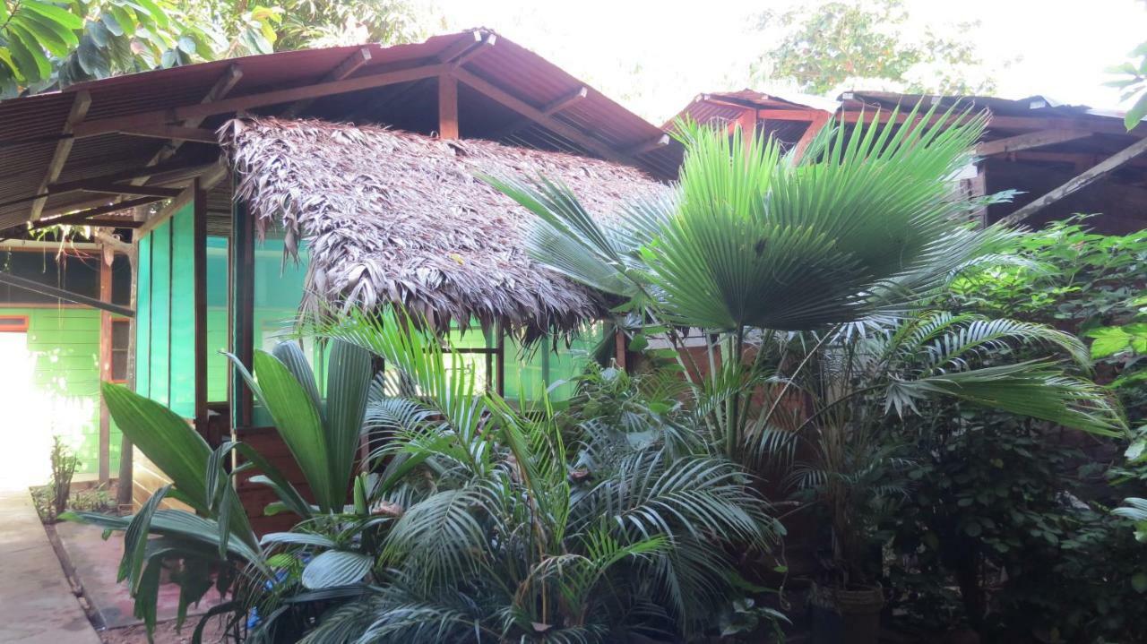 Tambopata Hostel Bambu بويرتو مالدونادو المظهر الخارجي الصورة