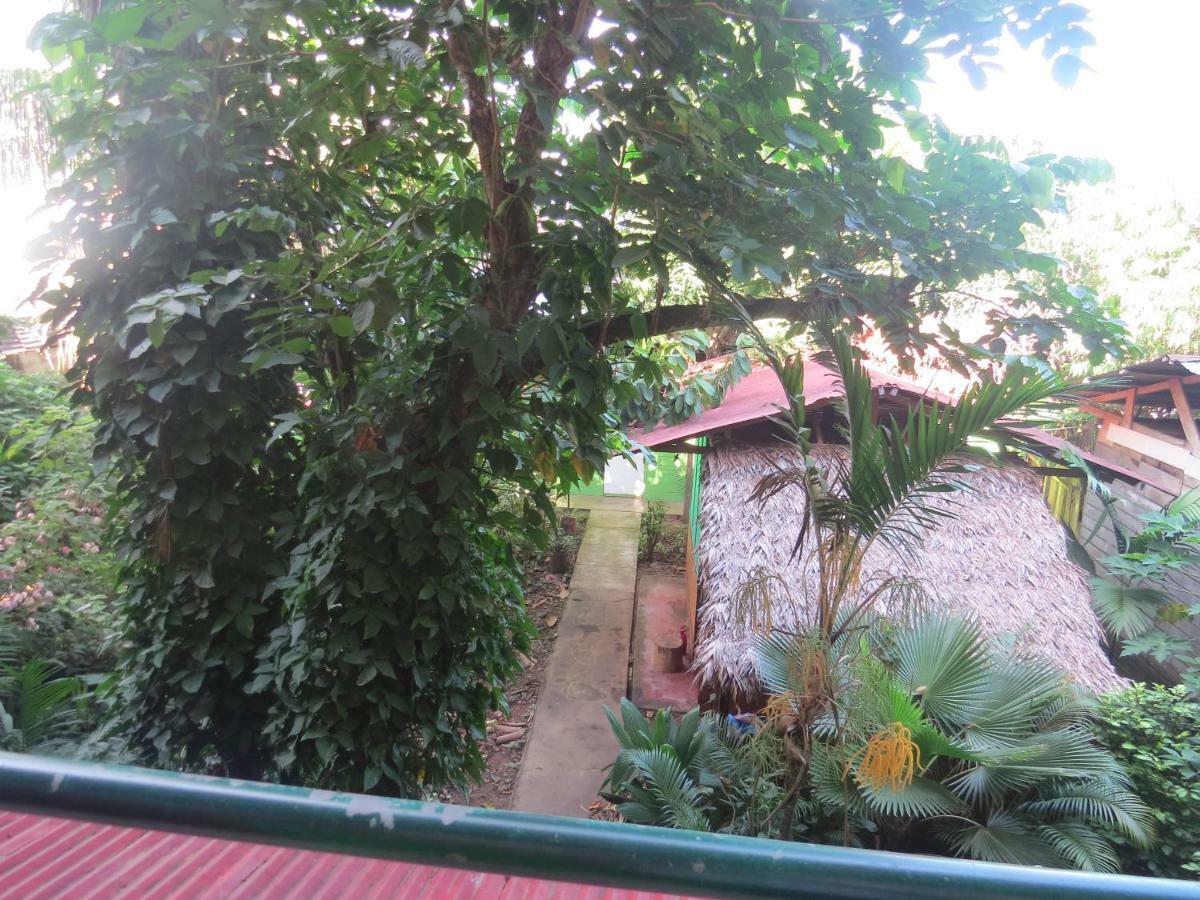 Tambopata Hostel Bambu بويرتو مالدونادو المظهر الخارجي الصورة