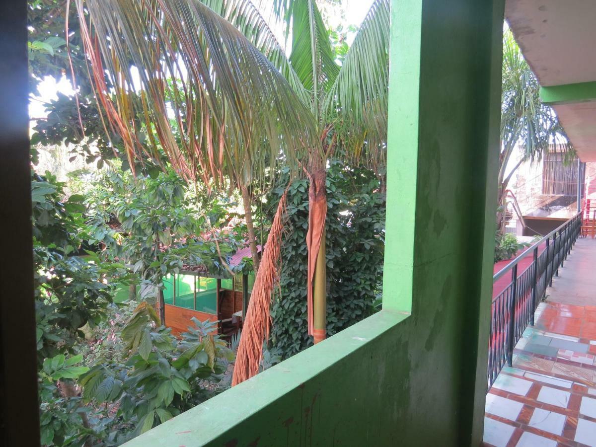 Tambopata Hostel Bambu بويرتو مالدونادو المظهر الخارجي الصورة